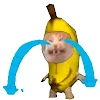 王先生